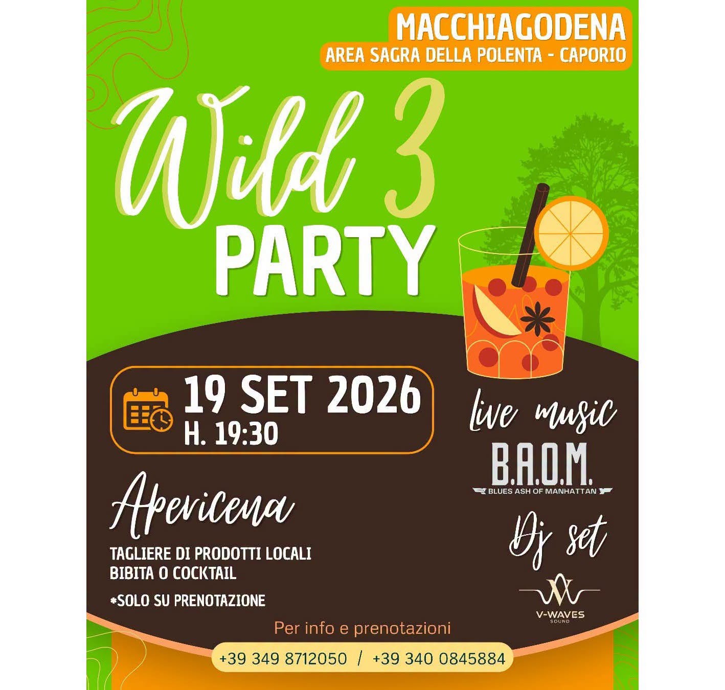 Poster for Wild 3 Party