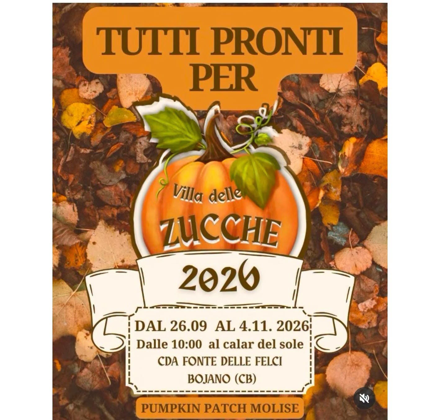 Affiche de Villa delle Zucche 2026